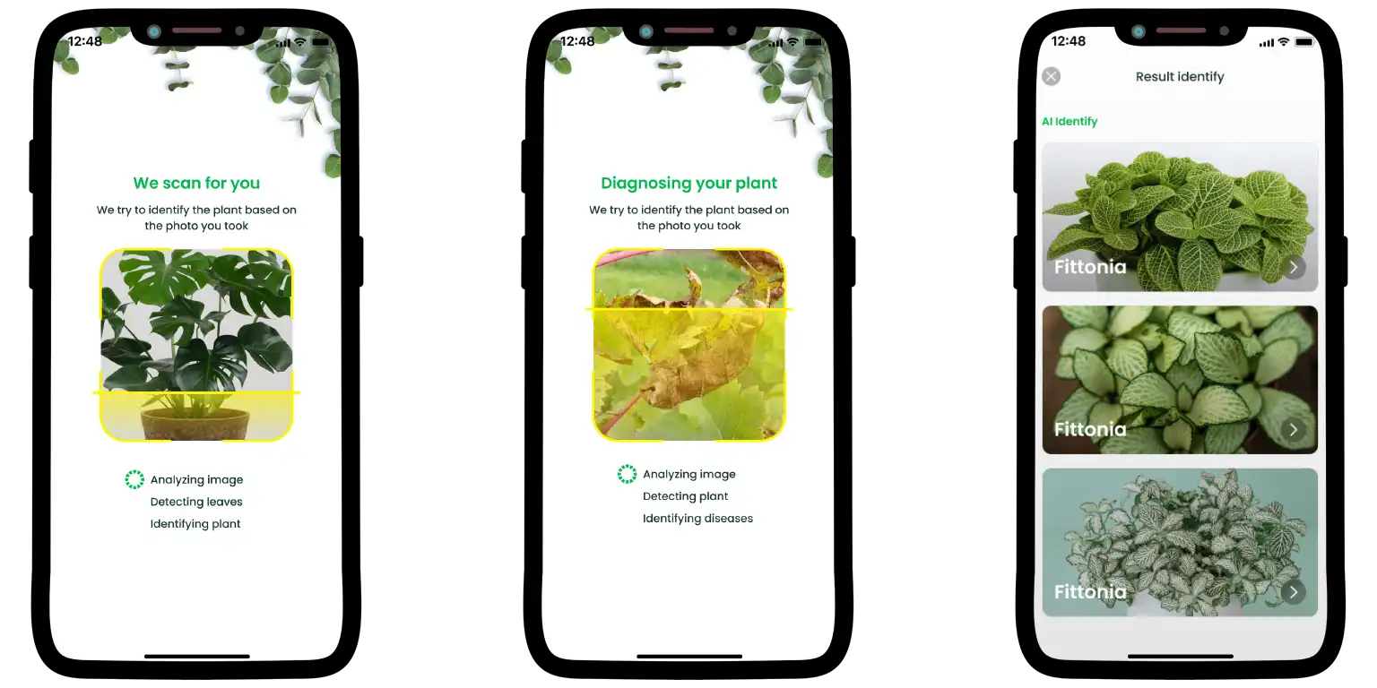 A screenshot from the Plant Finder app that is diagnosing a plant.